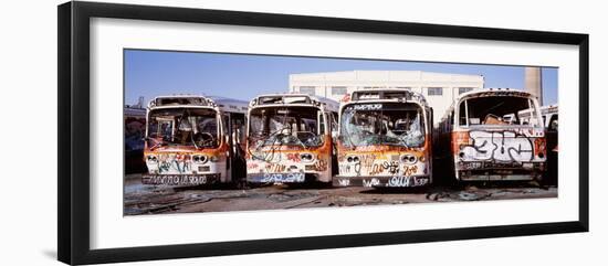 Graffiti Buses at Junkyard, San Francisco, California, USA-null-Framed Photographic Print