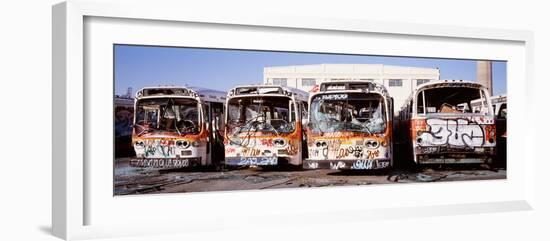 Graffiti Buses at Junkyard, San Francisco, California, USA-null-Framed Photographic Print