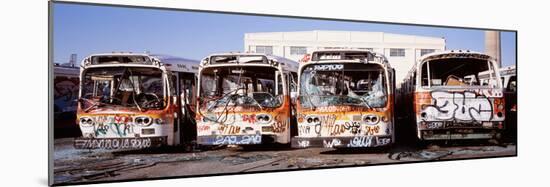 Graffiti Buses at Junkyard, San Francisco, California, USA-null-Mounted Photographic Print