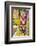 Graffiti, Coloured Rocket, Ottensen, Hanseatic City Hamburg, Germany-Axel Schmies-Framed Photographic Print