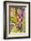 Graffiti, Coloured Rocket, Ottensen, Hanseatic City Hamburg, Germany-Axel Schmies-Framed Photographic Print