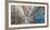 Graffiti covered walls, Cambridge, Massachusetts, USA-Panoramic Images-Framed Photographic Print