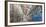 Graffiti covered walls, Cambridge, Massachusetts, USA-Panoramic Images-Framed Photographic Print