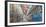 Graffiti covered walls, Cambridge, Massachusetts, USA-Panoramic Images-Framed Photographic Print