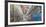 Graffiti covered walls, Cambridge, Massachusetts, USA-Panoramic Images-Framed Photographic Print