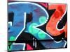 Graffiti No. 3-Rip Smith-Mounted Photographic Print