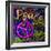 Graffiti Peace-Diane Stimson-Framed Premium Giclee Print