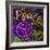 Graffiti Peace-Diane Stimson-Framed Art Print