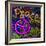 Graffiti Peace-Diane Stimson-Framed Art Print