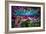 Graffiti Wall Urban Art-SergWSQ-Framed Premium Giclee Print