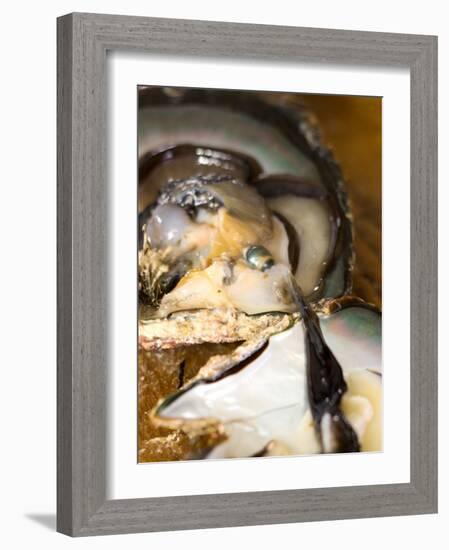 Grafting Seed Pearl and Pulling Pearl from Oyster, Fakarava, French Polynesia-Michele Westmorland-Framed Photographic Print