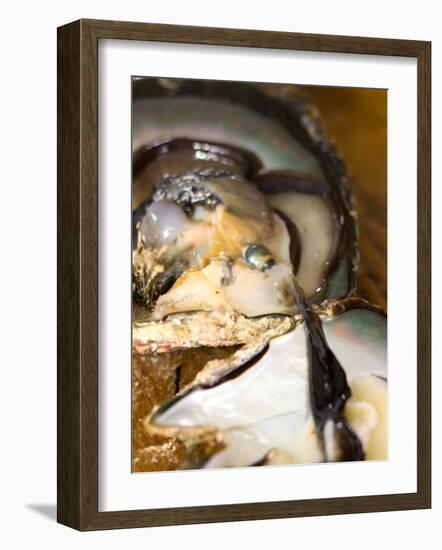 Grafting Seed Pearl and Pulling Pearl from Oyster, Fakarava, French Polynesia-Michele Westmorland-Framed Photographic Print