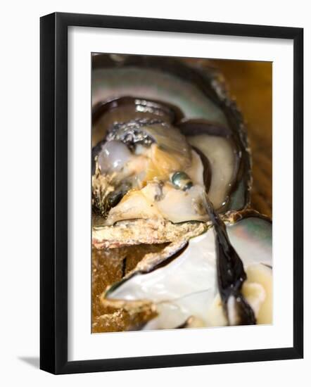 Grafting Seed Pearl and Pulling Pearl from Oyster, Fakarava, French Polynesia-Michele Westmorland-Framed Photographic Print