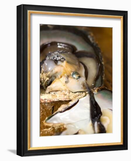 Grafting Seed Pearl and Pulling Pearl from Oyster, Fakarava, French Polynesia-Michele Westmorland-Framed Photographic Print