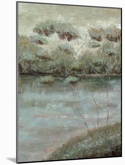 Grafton Woods II-Jack Roth-Mounted Art Print