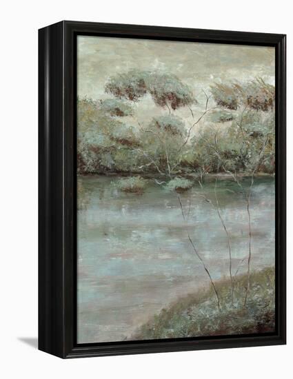 Grafton Woods II-Jack Roth-Framed Stretched Canvas