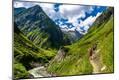 Photographic Print