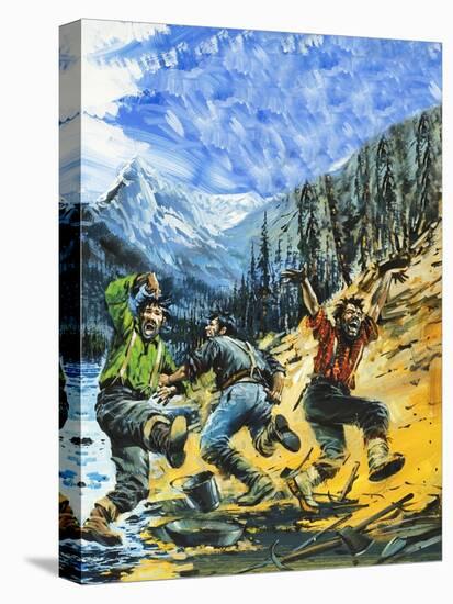Stretched Canvas Print, , large