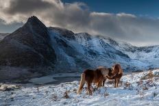 Fan y Big, Cribyn and Pen y Fan viewed from the south east, UK-Graham Eaton-Photographic Print