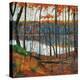 Stretched Canvas Print