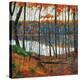 Stretched Canvas Print