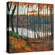 Stretched Canvas Print