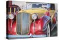 Stretched Canvas Print