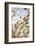 Grain, Barley, Low Angle View, Summer-Nora Frei-Framed Photographic Print
