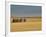 Grain Barn on Wheat Farm in Rosebud, Alberta, Canada-Walter Bibikow-Framed Photographic Print