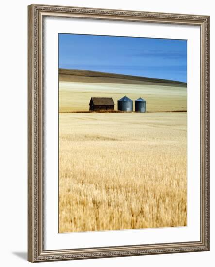 Grain Barn, Rosebud, Alberta, Canada-Walter Bibikow-Framed Photographic Print