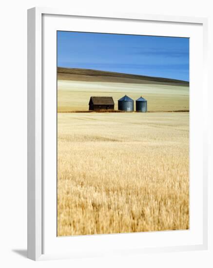 Grain Barn, Rosebud, Alberta, Canada-Walter Bibikow-Framed Photographic Print