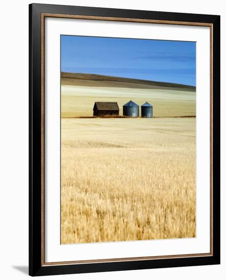 Grain Barn, Rosebud, Alberta, Canada-Walter Bibikow-Framed Photographic Print