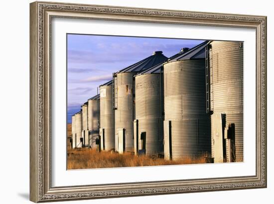 Grain Bins, Morning Light-Jason Savage-Framed Art Print