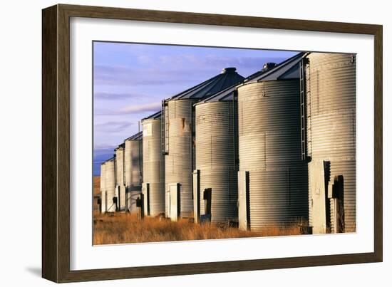Grain Bins, Morning Light-Jason Savage-Framed Art Print