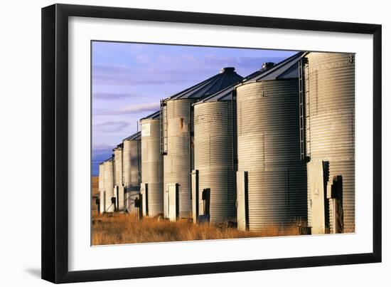 Grain Bins, Morning Light-Jason Savage-Framed Art Print