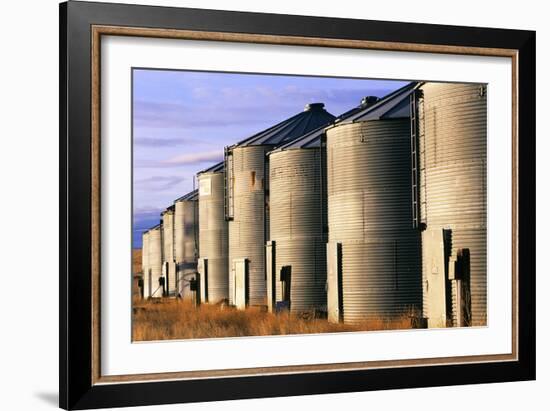 Grain Bins, Morning Light-Jason Savage-Framed Art Print