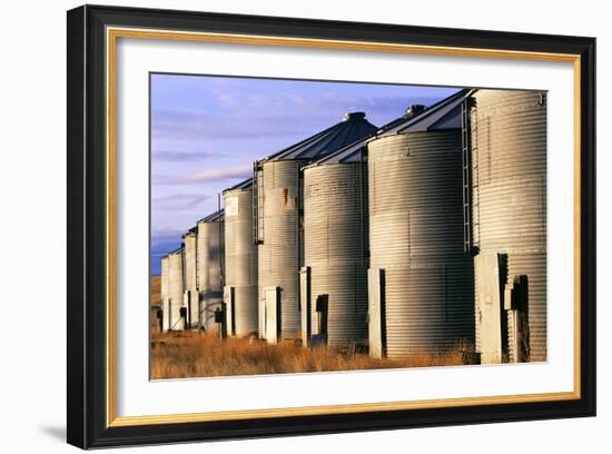 Grain Bins, Morning Light-Jason Savage-Framed Art Print