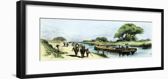 Grain-Boat Towed by a Mule Team on the Erie Canal, 1800s-null-Framed Giclee Print