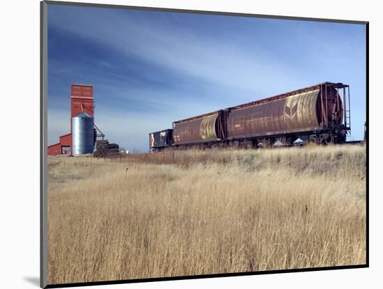 Grain Elevators and Wheat Train, Saskatchewan, Canada-Walter Bibikow-Mounted Photographic Print