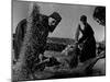Grain Flying in Air During Winnowing by Women in Famous Spanish Village-W^ Eugene Smith-Mounted Photographic Print