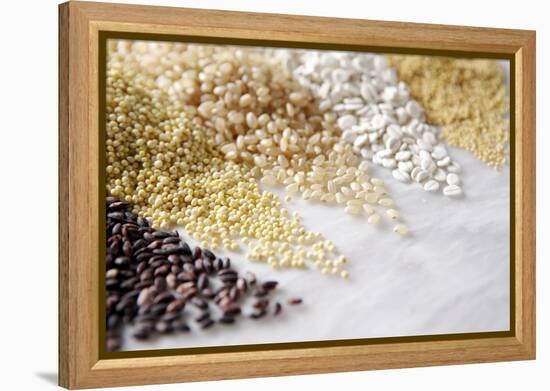 Grain Still Life: Brown Rice, Millet, Rice, Pearl Barley, Amaranth-Amana Images Inc.-Framed Premier Image Canvas