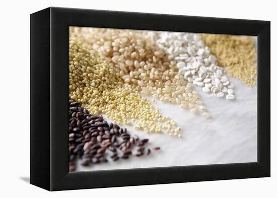 Grain Still Life: Brown Rice, Millet, Rice, Pearl Barley, Amaranth-Amana Images Inc.-Framed Premier Image Canvas