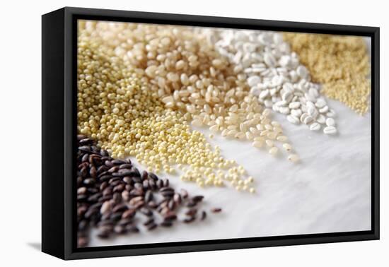 Grain Still Life: Brown Rice, Millet, Rice, Pearl Barley, Amaranth-Amana Images Inc.-Framed Premier Image Canvas