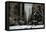 Gramercy Park, Snow, NYC, 2012-Anthony Butera-Framed Premier Image Canvas