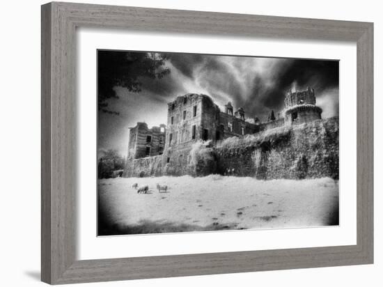 Gramont Chateau, Bidache, the Pyrenees, France-Simon Marsden-Framed Giclee Print