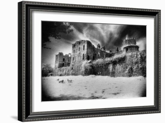 Gramont Chateau, Bidache, the Pyrenees, France-Simon Marsden-Framed Giclee Print