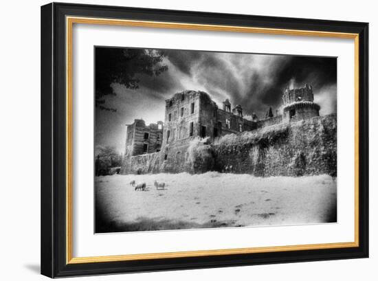 Gramont Chateau, Bidache, the Pyrenees, France-Simon Marsden-Framed Giclee Print