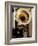 Gramophone, Bazaar Antique Shop, San Miguel de Allende, Mexico-Inger Hogstrom-Framed Photographic Print