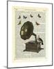 Gramophone, Bird & Butterflies-Marion Mcconaghie-Mounted Art Print