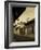 Granada, Cathedral of Granada, Nicaragua-John Coletti-Framed Photographic Print